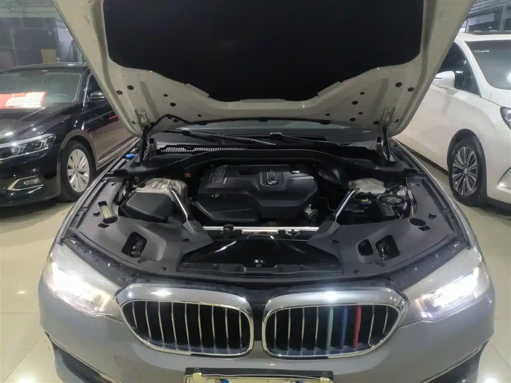 BMW 5 Series 2018 528Li Launch Special Edition фото 16