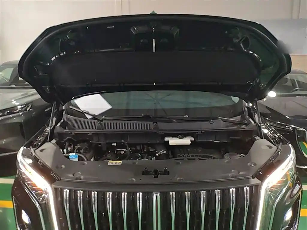 Hongqi HQ9 PHEV 2024 Model 2.0T AWD Business Edition фото 20