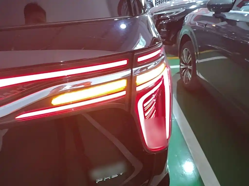 Hongqi HQ9 PHEV 2024 Model 2.0T AWD Business Edition фото 8