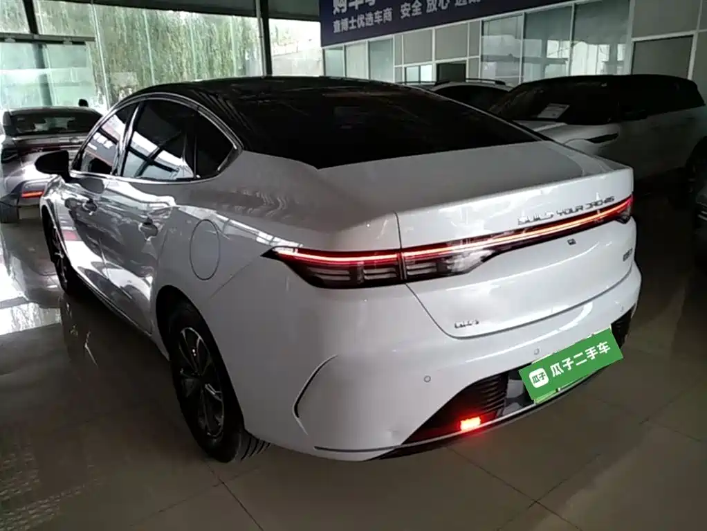 BYD Destroyer 05 2025 Model DM-i 55KM Smooth Ride Edition фото 5