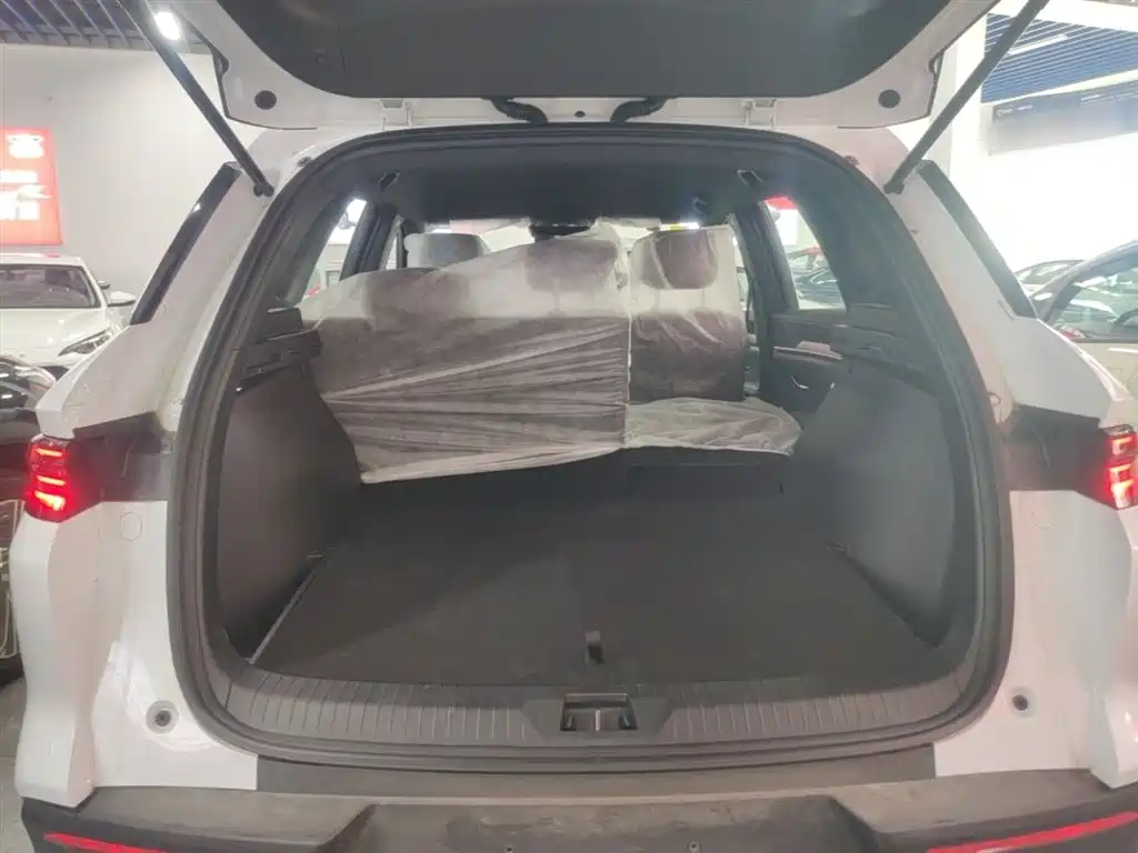 BYD Song Pro New Energy 2026 DM-i 133KM Progressive фото 19
