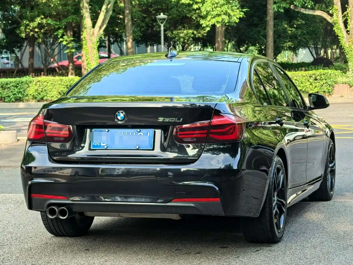 BMW 3 Series 2018 320Li M Sport Black Night Edition фото 8