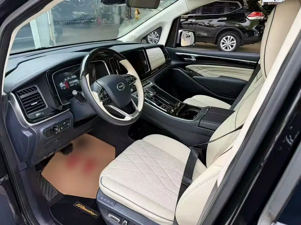 GAC Trumpchi Trumpchi M8 2021 Master Series 390T 4-Seat Premium Edition фото 18