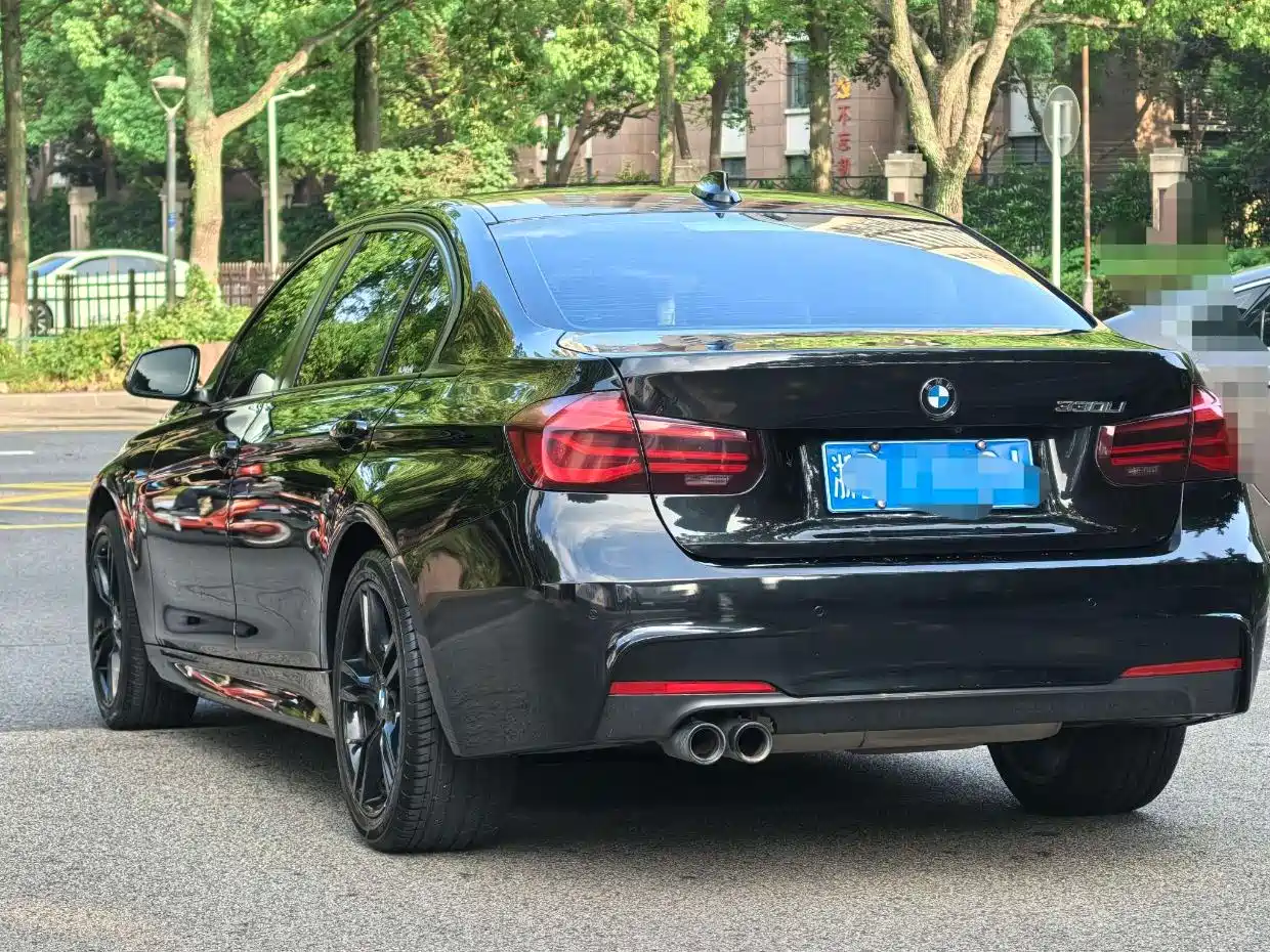 BMW 3 Series 2018 320Li M Sport Black Night Edition фото 7