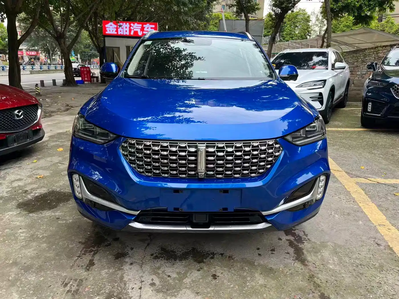 WEI PAI WEI BRAND VV6