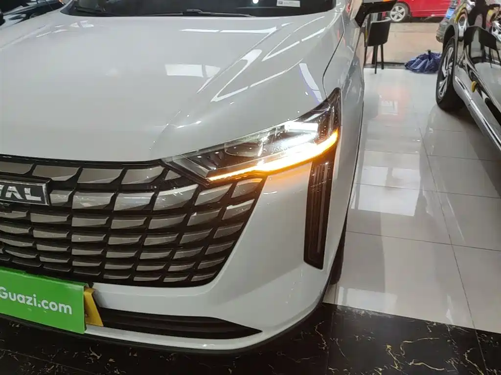 Haval H6 2024 2.0T 2WD Max фото 24