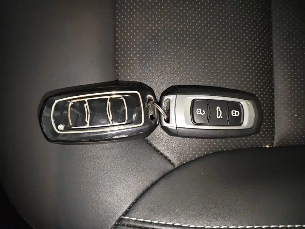 صورة 9 - Geely Emgrand GS
