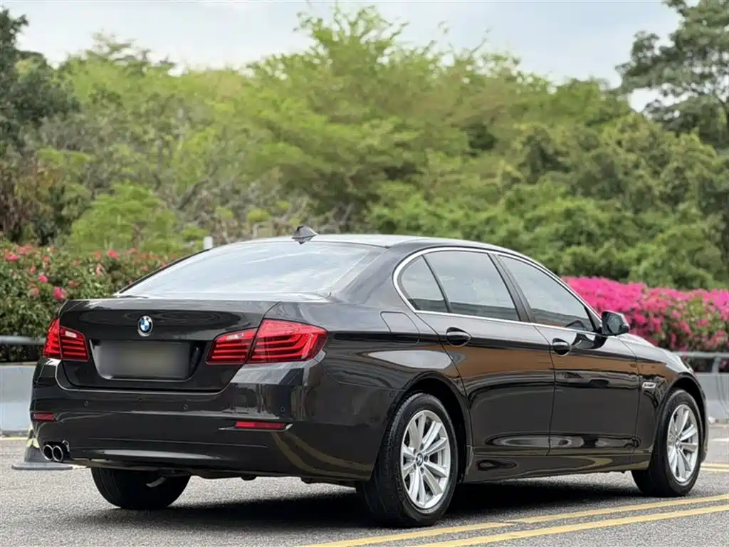 BMW 5 Series 2014 520Li Elegance фото 24