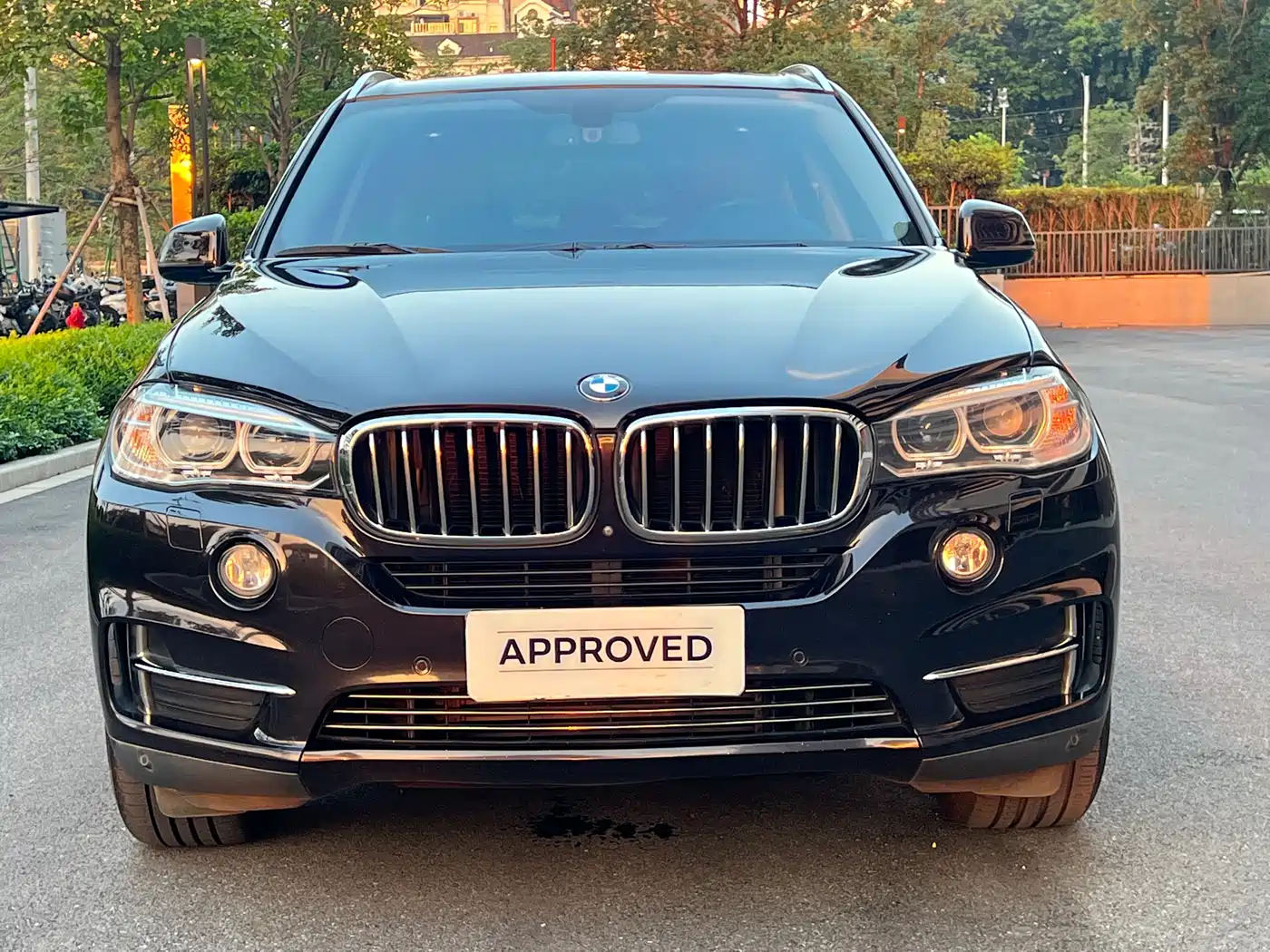 BMW X5 (Import) 2017 xDrive35i Luxury Edition фото 2