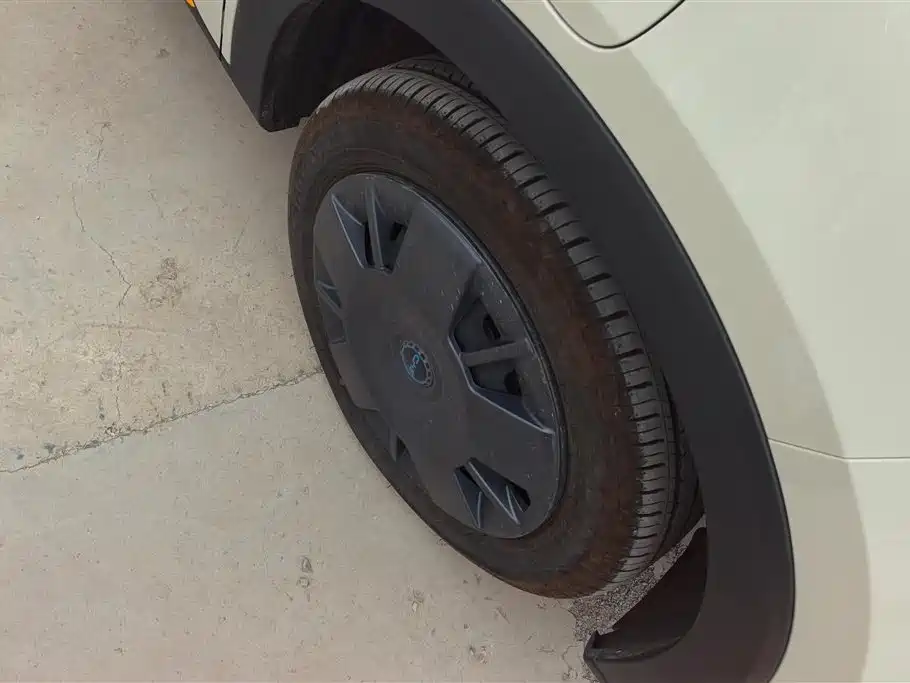 BYD Seagull 2025 Smart Drive Edition 305km Vitality Version фото 6