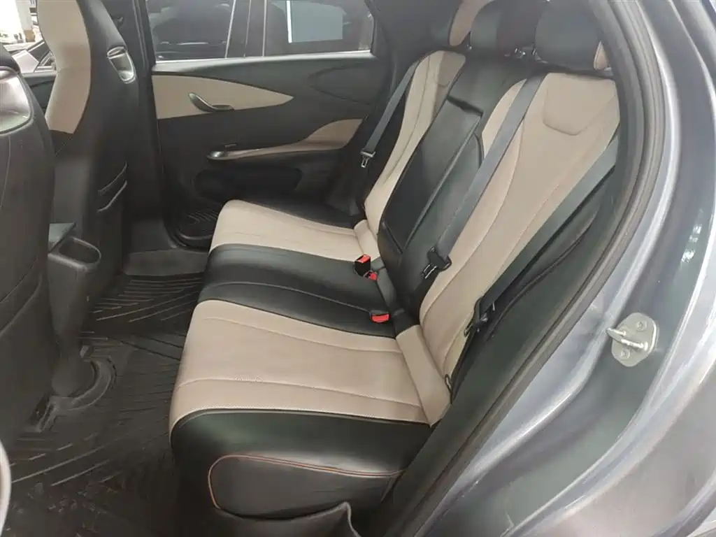 BYD Dolphin 2023 420km Fashion Edition фото 17