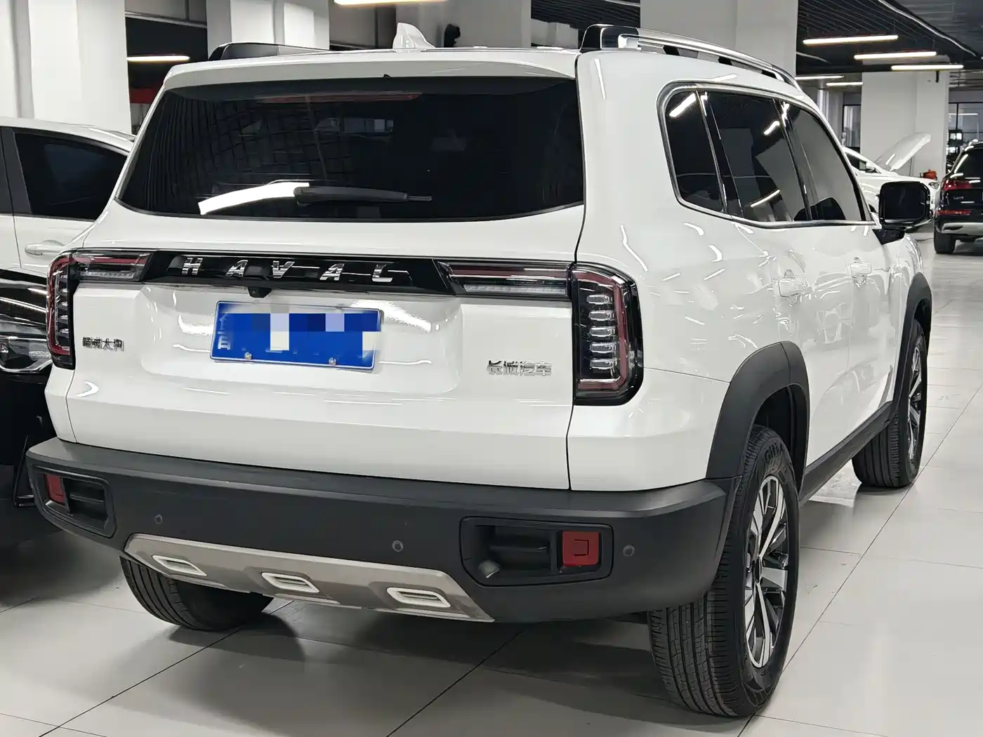 Haval Big Dog 2021 1.5T DCT 2WD Labrador Edition фото 3