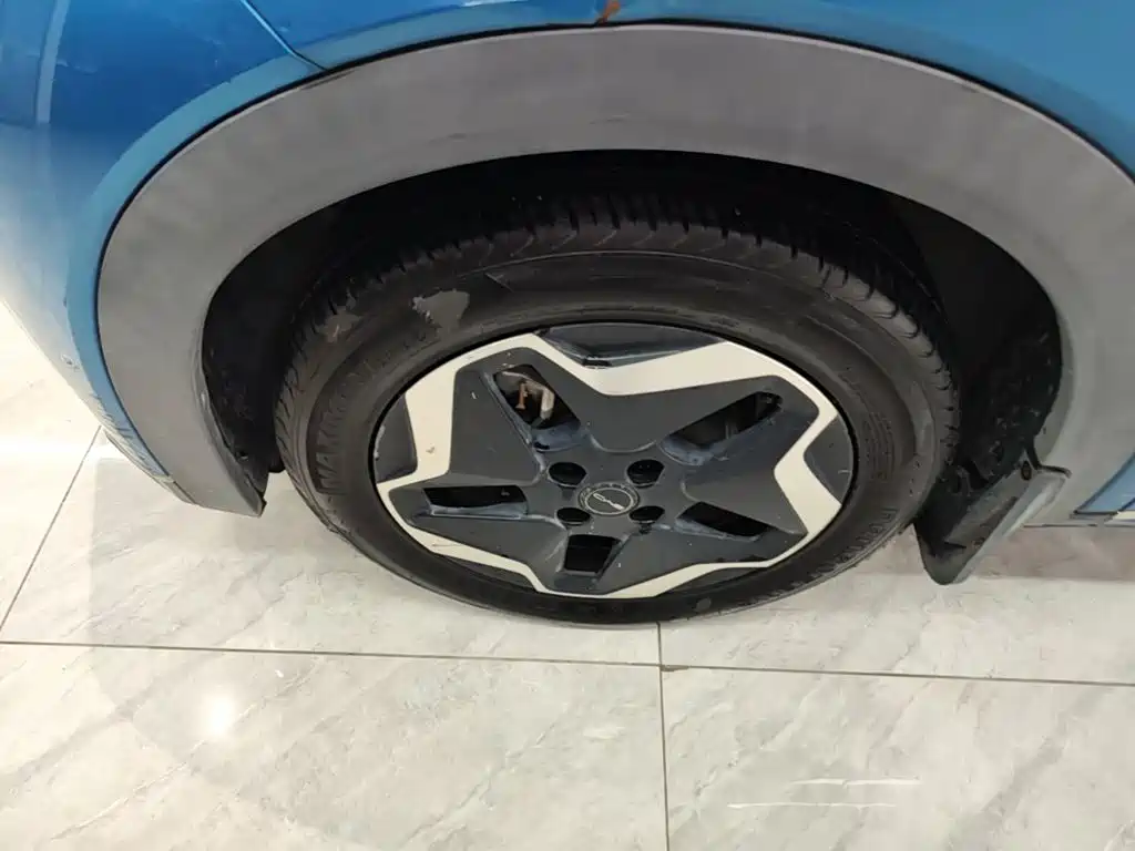 BYD Dolphin 2022 2021 Model 405km Fashion Edition