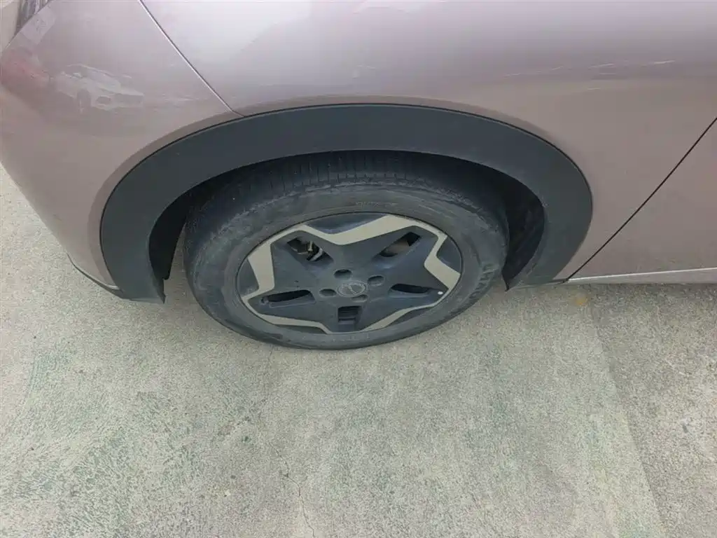 BYD Dolphin 2021 Model 405km Fashion Edition фото 23