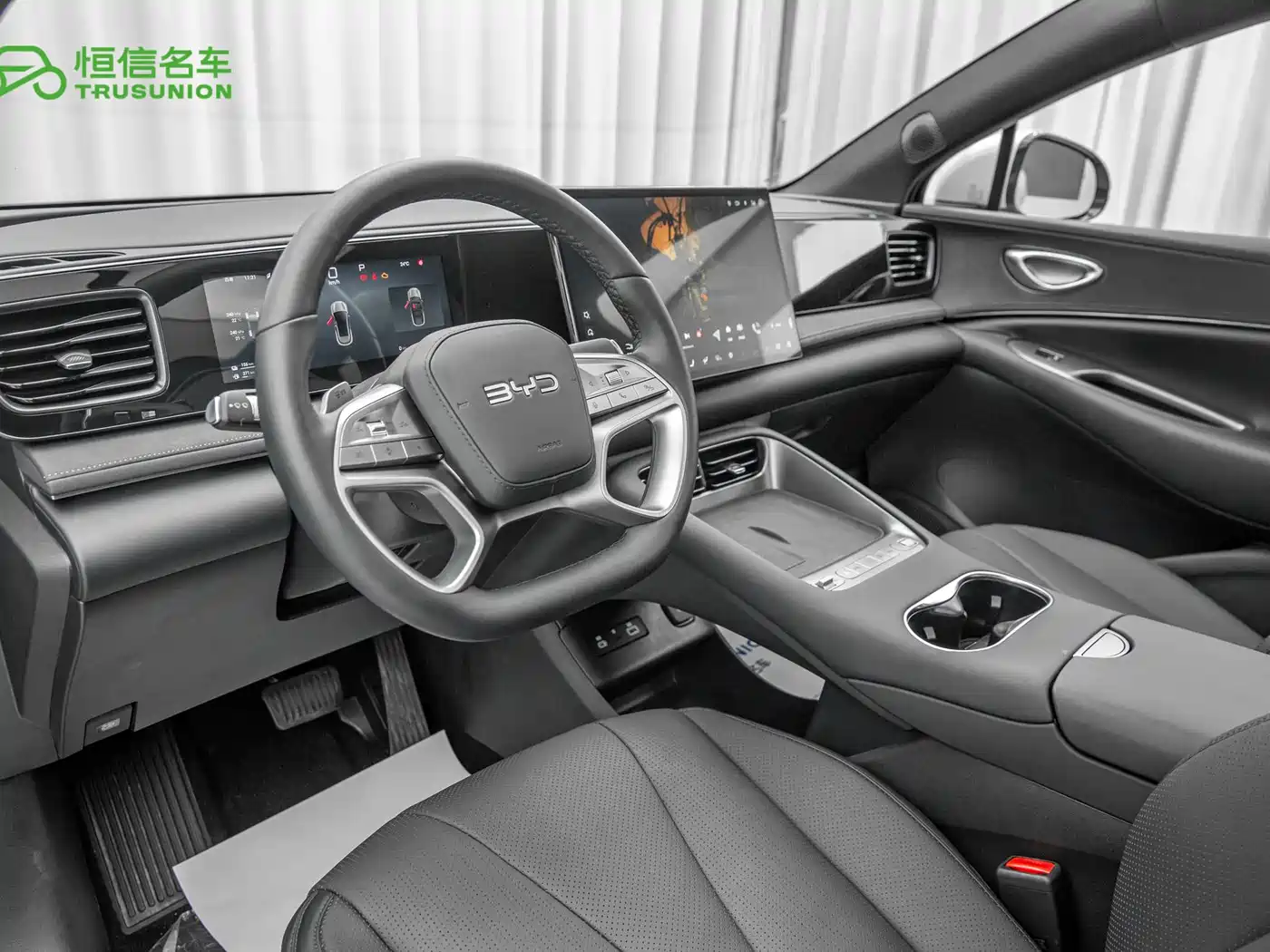 BYD Sealion 06 New Energy 2025 DM-i 170 Pilot Pro Edition фото 12