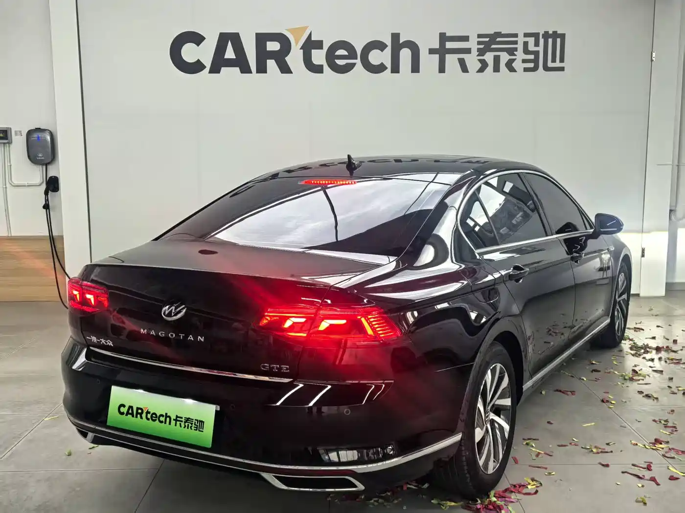 Volkswagen Magotan GTE Plug-in Hybrid 2022 GTE Luxury фото 9