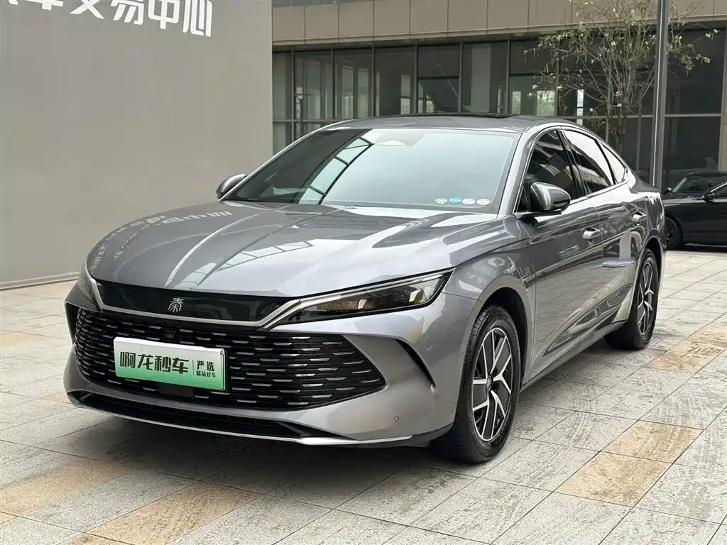 BYD QIN L