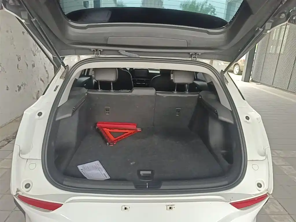 Buick Velite 6 2023 Facelift 430km Travel Edition фото 19