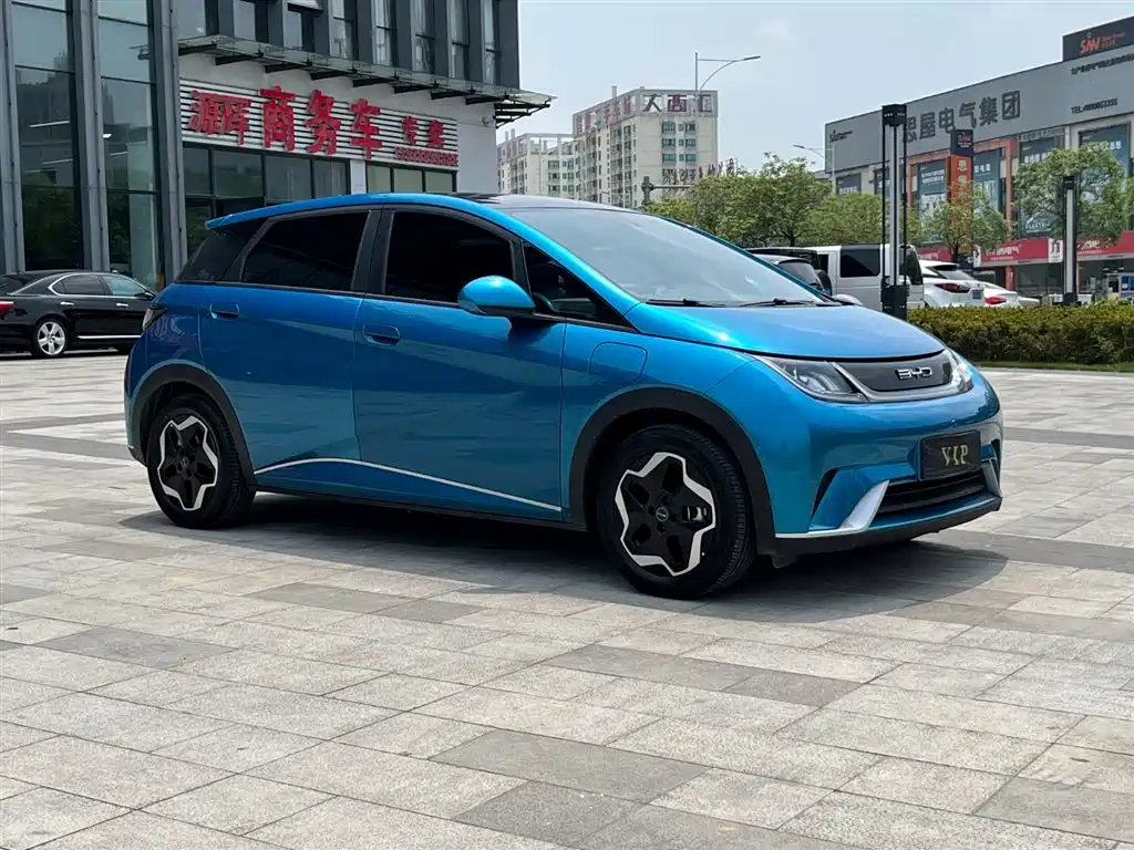 BYD Dolphin 2021 Model 405km Fashion Edition фото 3