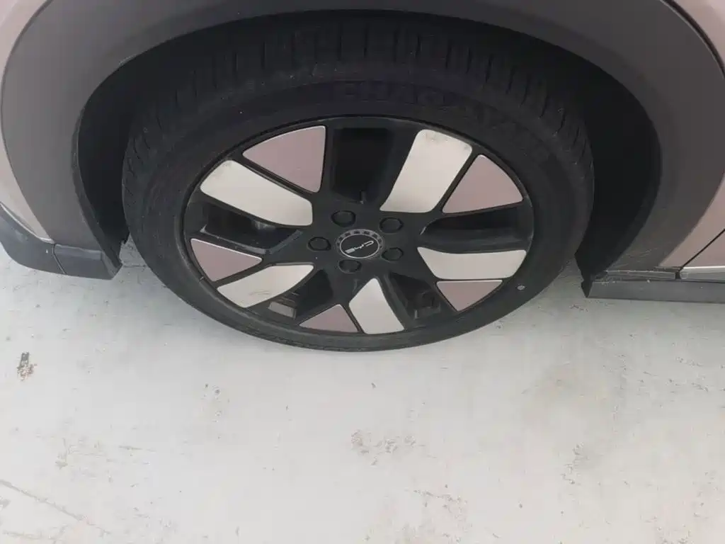 BYD Dolphin 2022 2021 401km Knight Edition