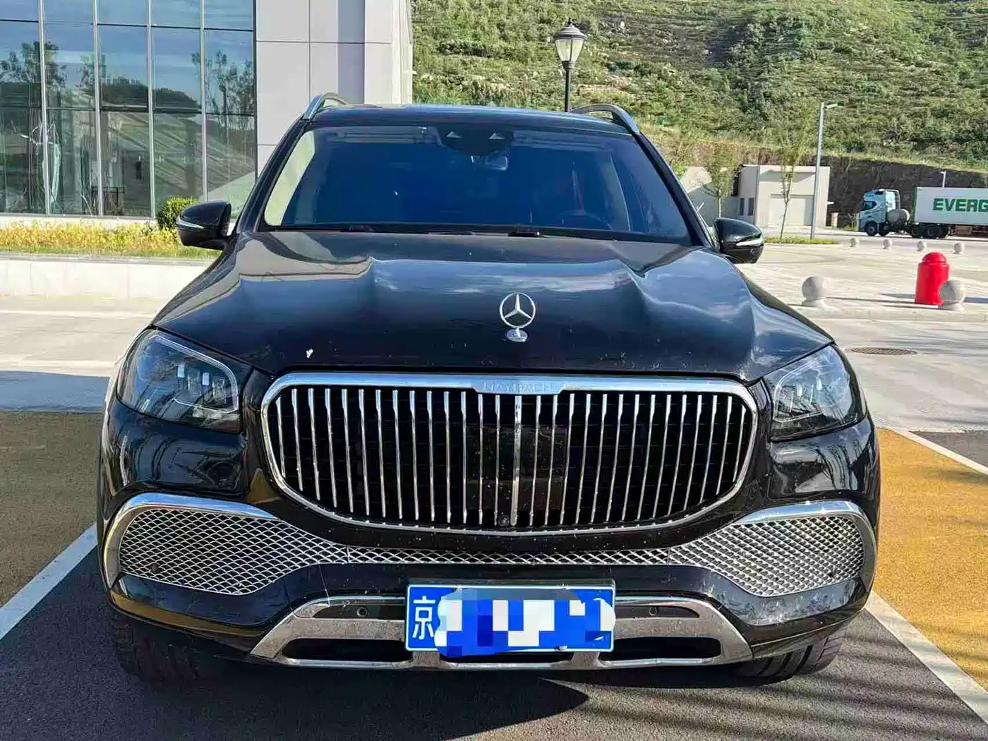 Mercedes-Benz Maybach GLS 2021 GLS 480 4MATIC фото 3