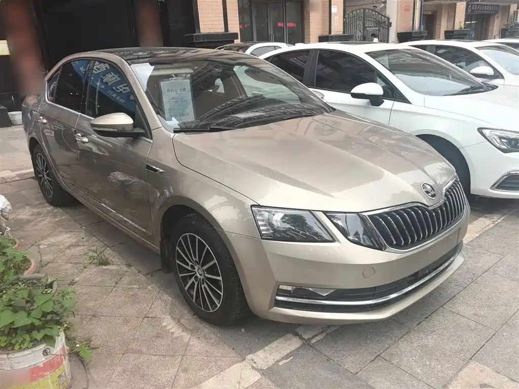 Škoda Octavia 2019 1.5L Automatic Smart Luxury Edition China V фото 5