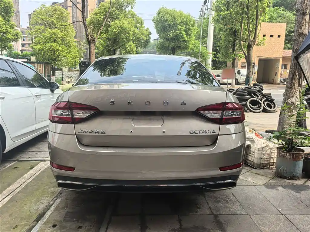 Škoda Octavia 2019 1.5L Automatic Smart Luxury Edition China V фото 4