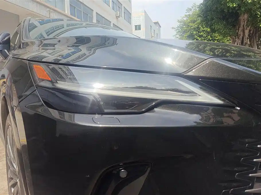 Lexus RX New Energy 2023 450h+ 4WD Enjoyment фото 5
