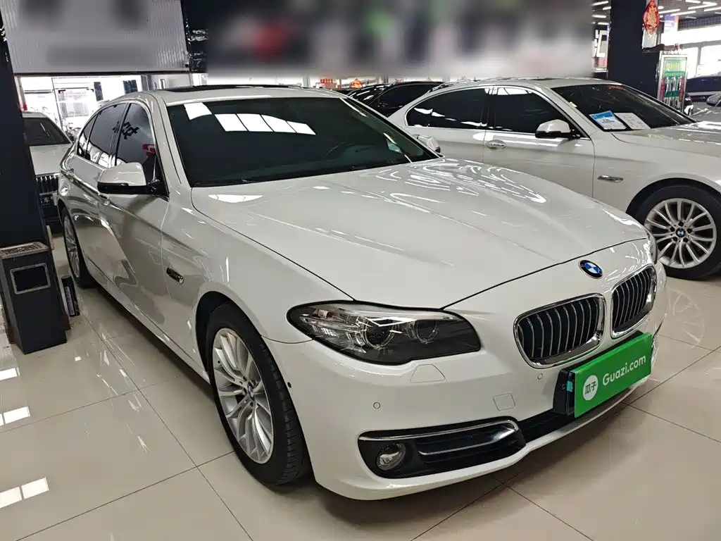 BMW 5 Series 2014 525Li Luxury Design Package фото 4