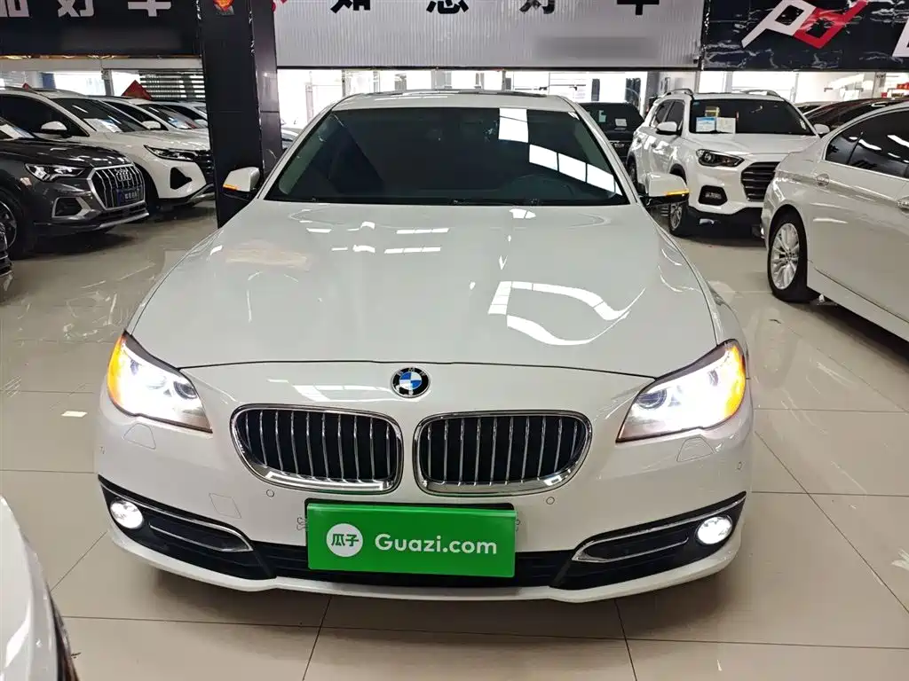 BMW 5 Series 2014 525Li Luxury Design Package фото 3