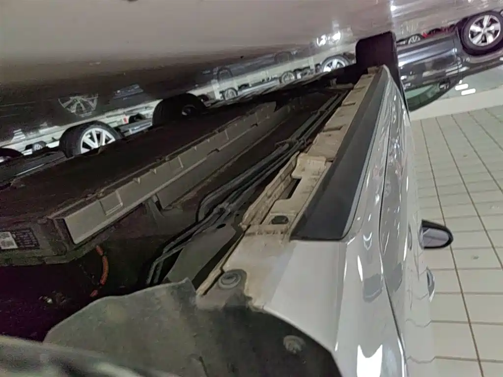 BYD Destroyer 05 2024 Glory Edition DM-i 55KM Luxury фото 22