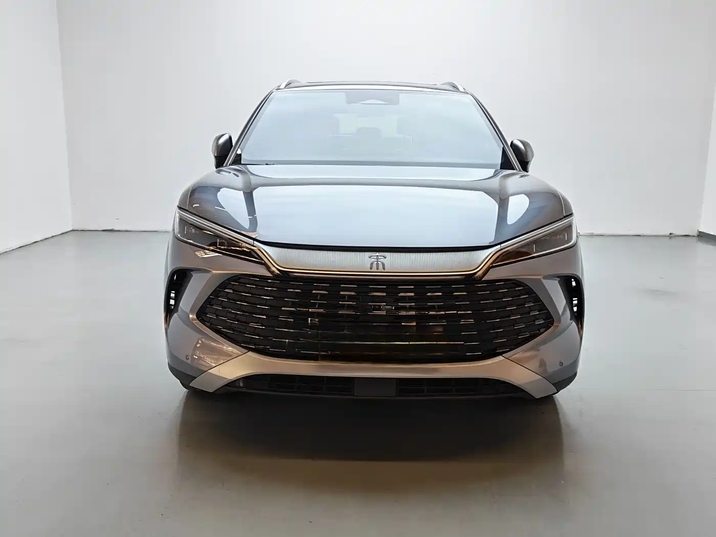 BYD Song L DM-i 2024 160km Superior фото 2