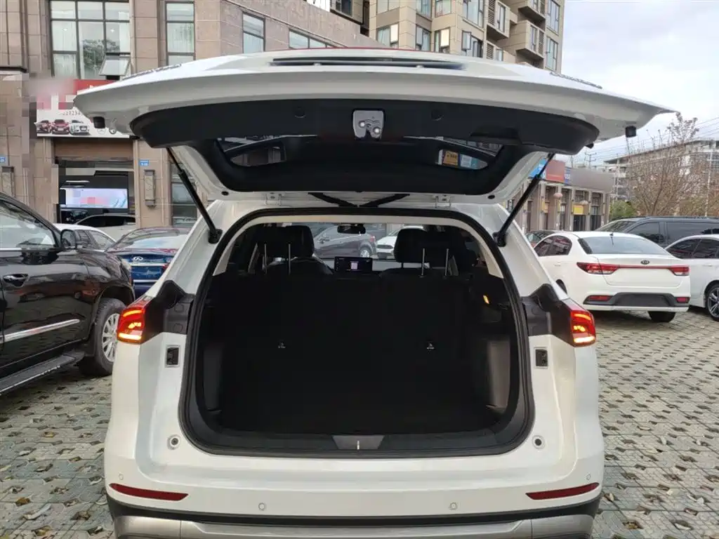 Haval H6 2023 National Trend Edition 1.5T Automatic Urban фото 15