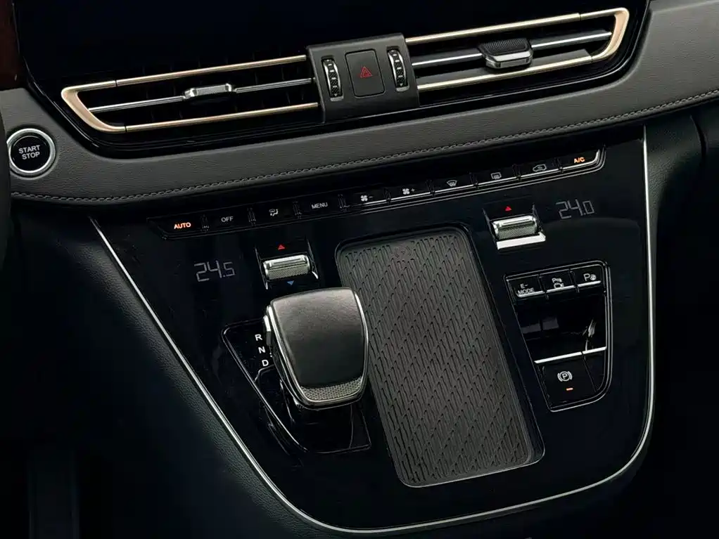 Hongqi HQ9 PHEV 2024 Model 2.0T AWD Luxury Edition фото 15