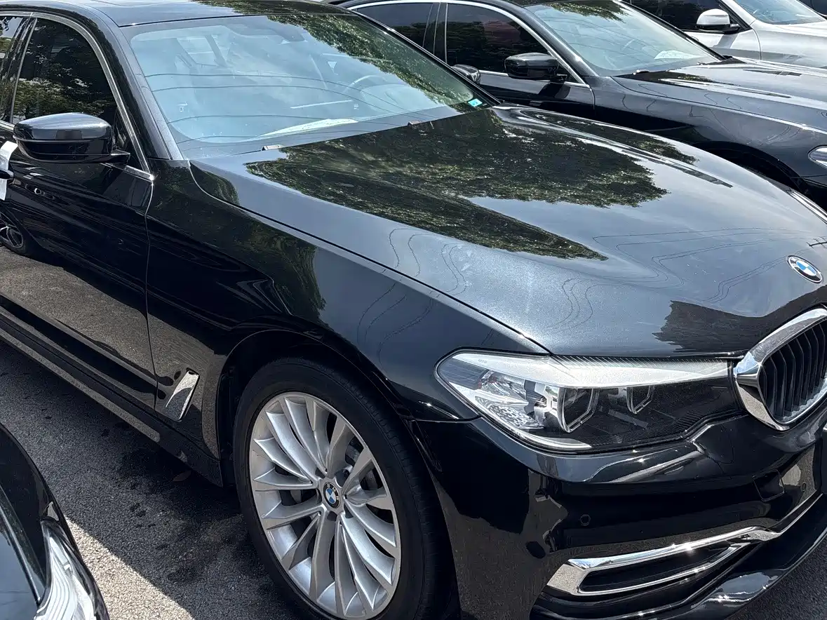 BMW 5 Series 2019 530Li Leading Luxury Package