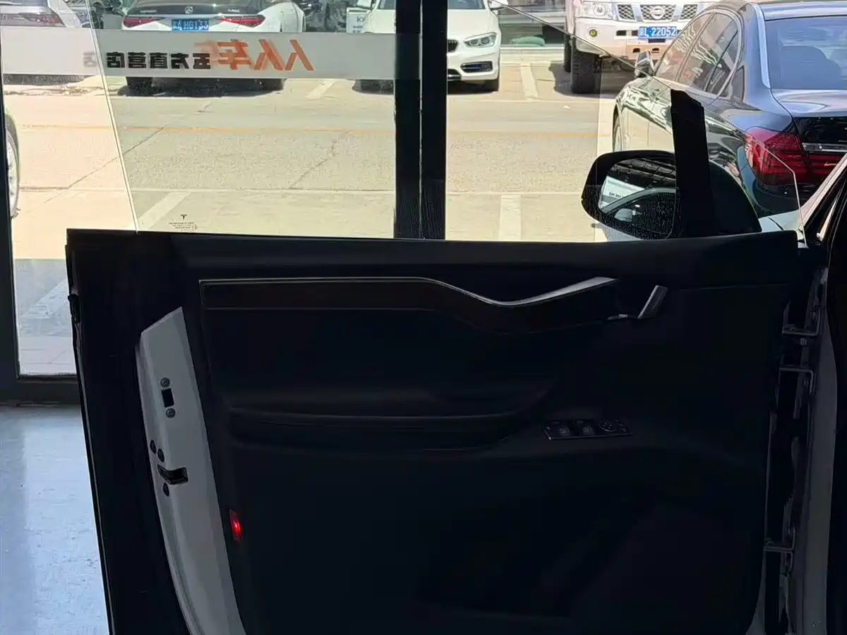 TESLA MODEL X