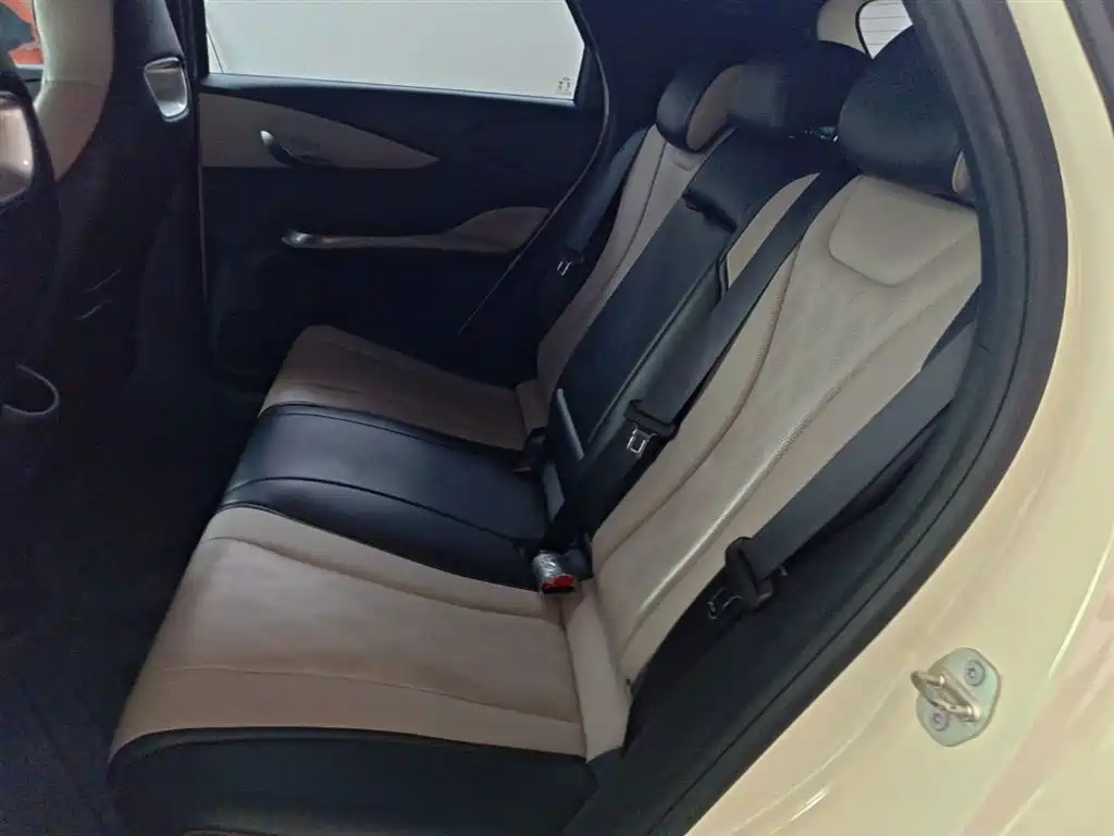 BYD Dolphin 2023 420km Fashion Edition фото 17