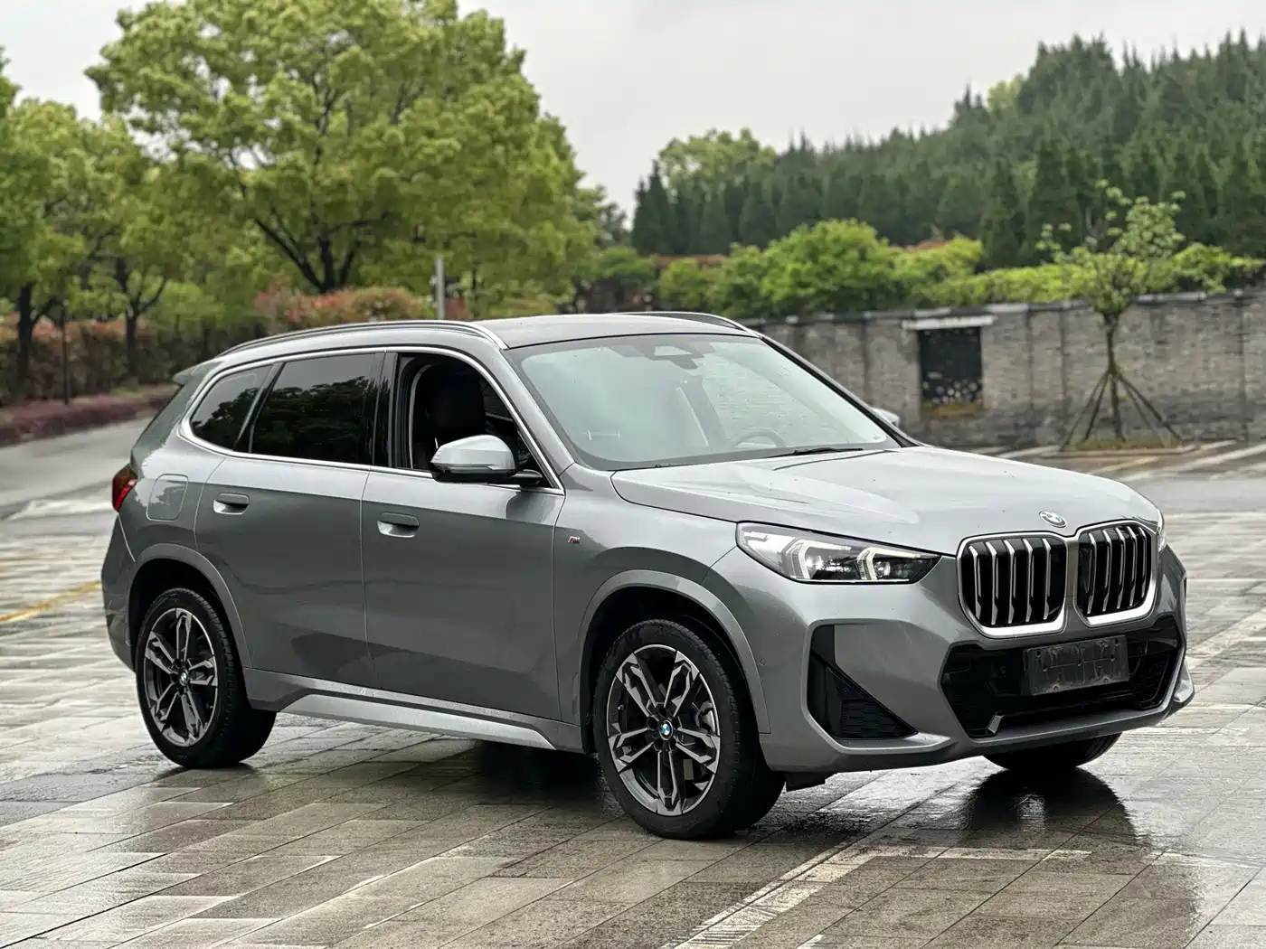 BMW X1 2023 xDrive25Li X Design Package фото 3