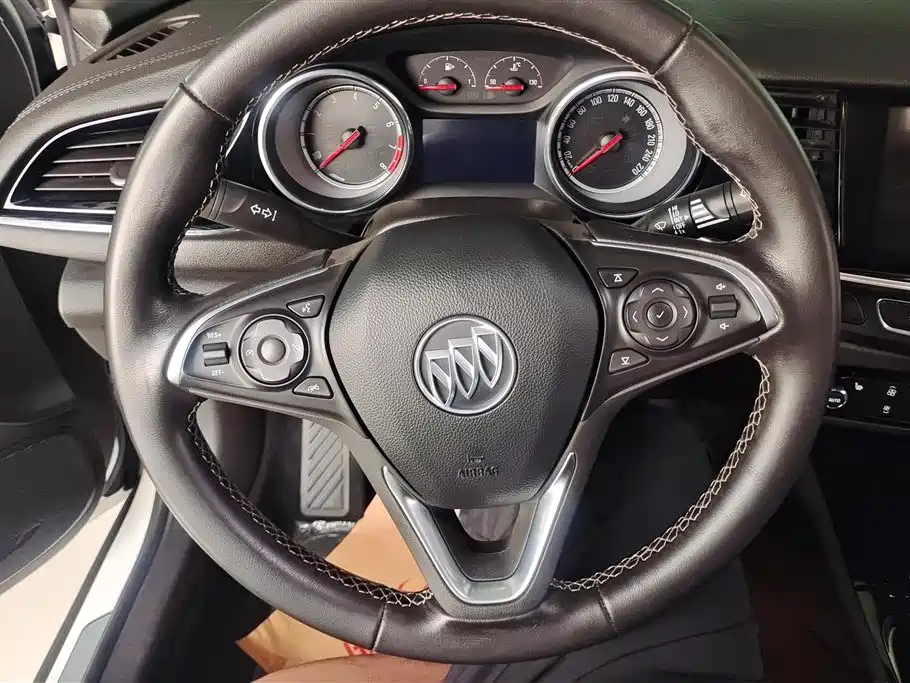 Buick Regal 2017 20T Elite Type фото 15