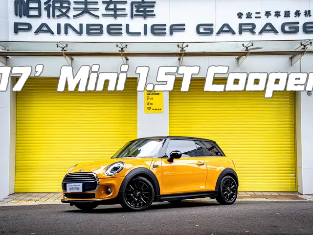 MINI 