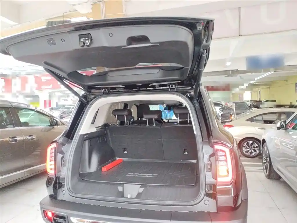 Haval Big Dog 2022 2.0T DCT AWD Howling Celestial Dog Edition фото 17