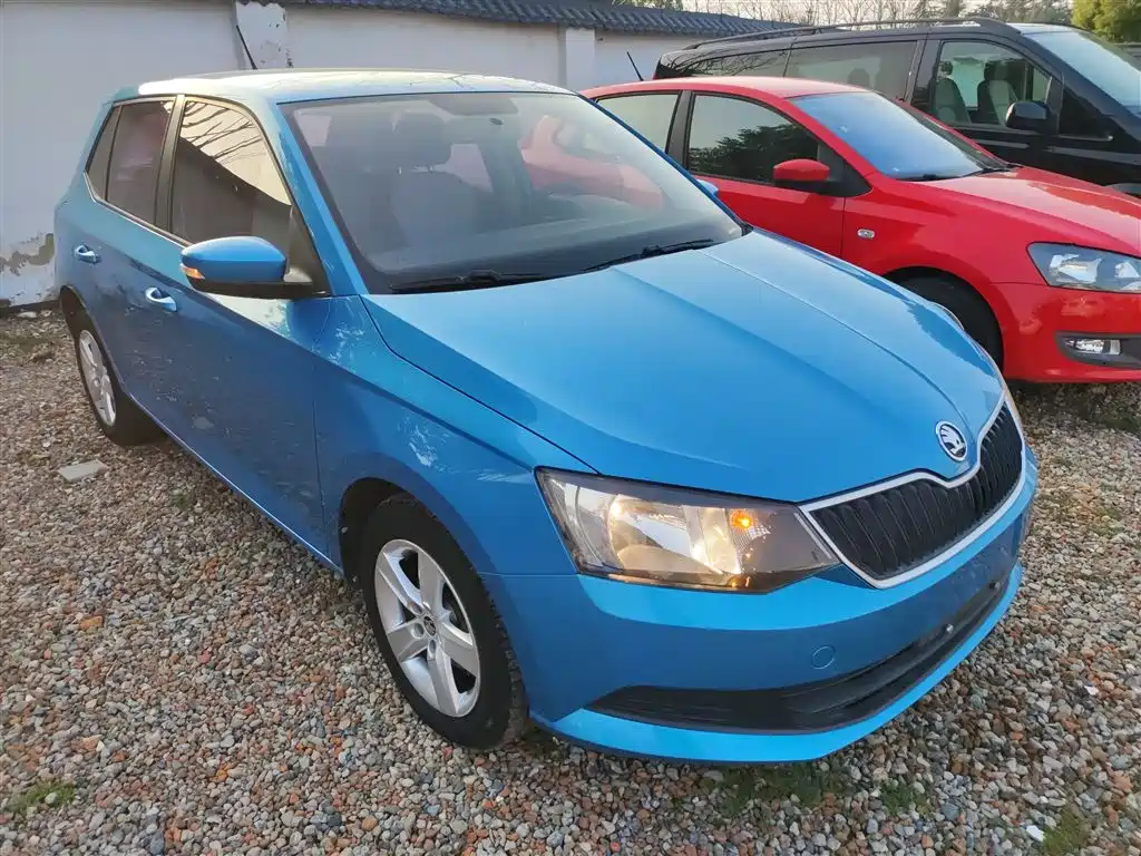 Škoda Fabia 2016 1.4L Automatic Car Enjoy Edition фото 22