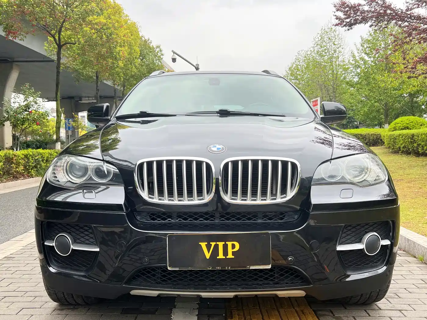 BMW X6 2012 xDrive35i фото 3