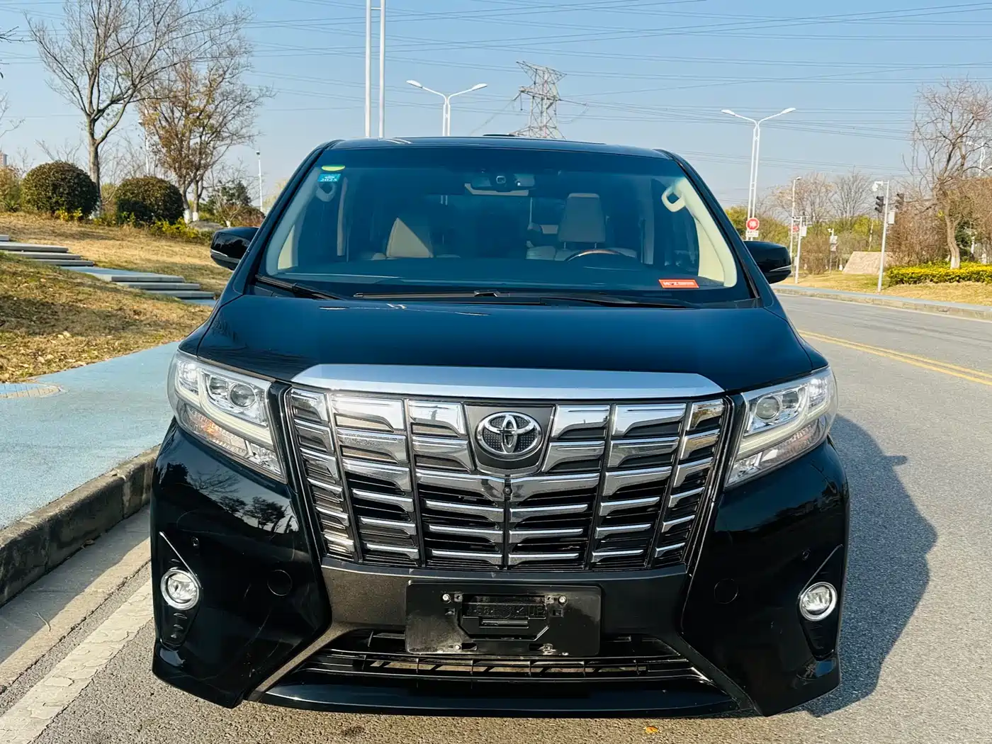 Toyota Alphard 2015 3.5L Premium Edition фото 2