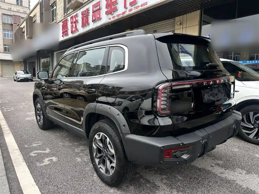 Haval Big Dog 2024 2.0T DCT Chinese Rural Dog Edition фото 5
