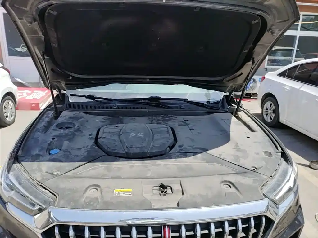 Hongqi HS5 2019 2.0T Smart Connect Enjoy 4WD Edition фото 20