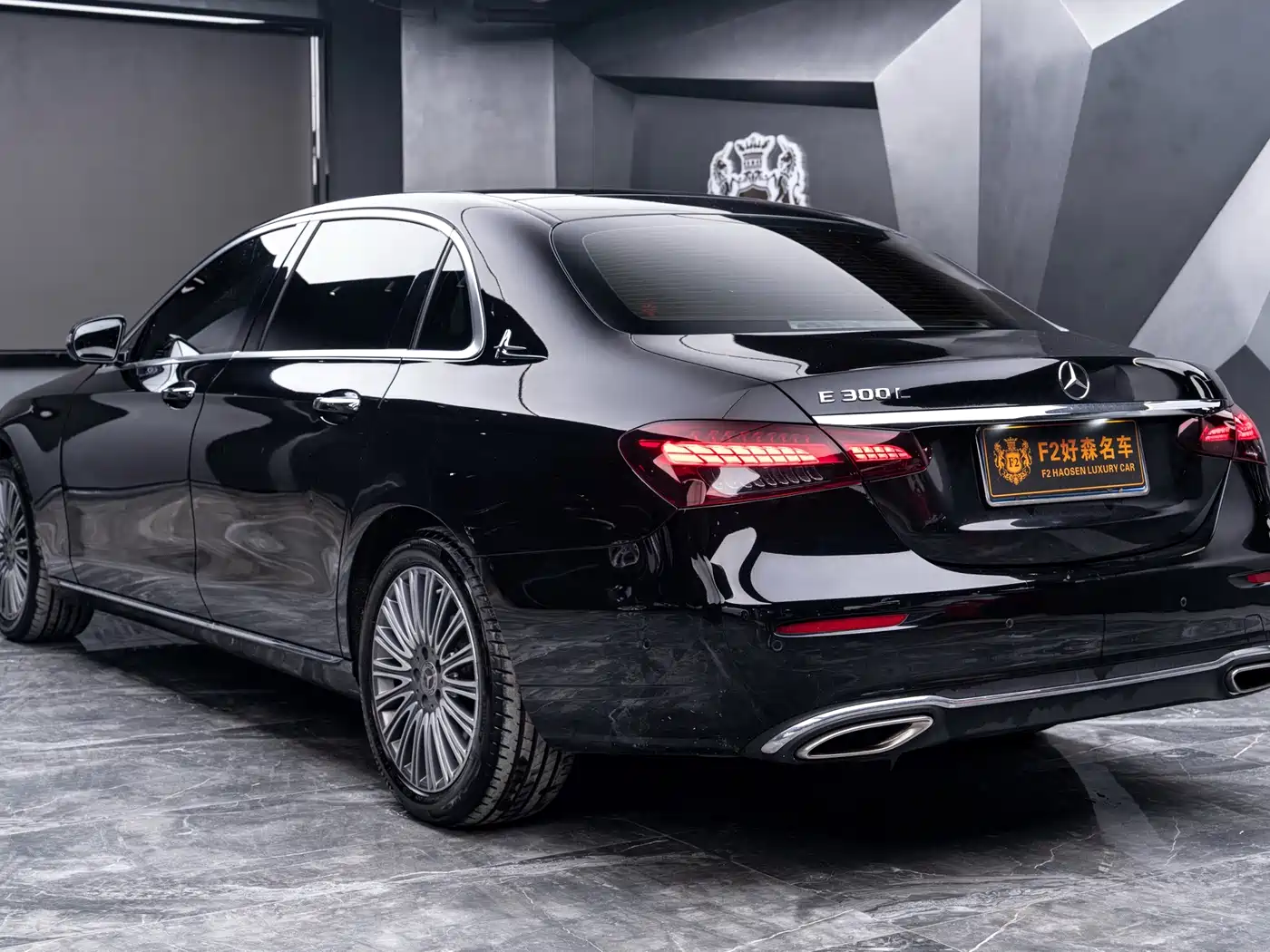 Mercedes-Benz E-Class 2023 E 300 L Luxury фото 13