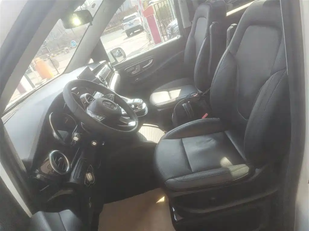 Mercedes-Benz V-Class 2018 V 260 Pilot Edition China V фото 15