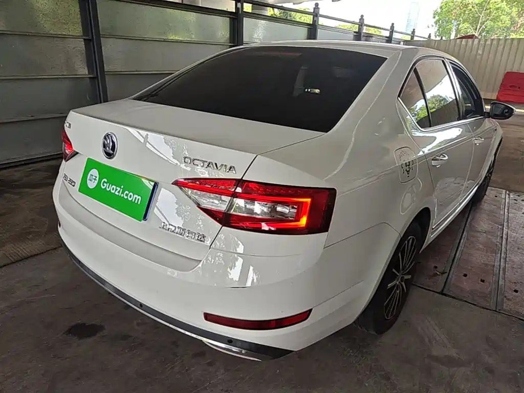 Škoda Octavia 2018 TSI230 DSG Luxury Edition фото 7