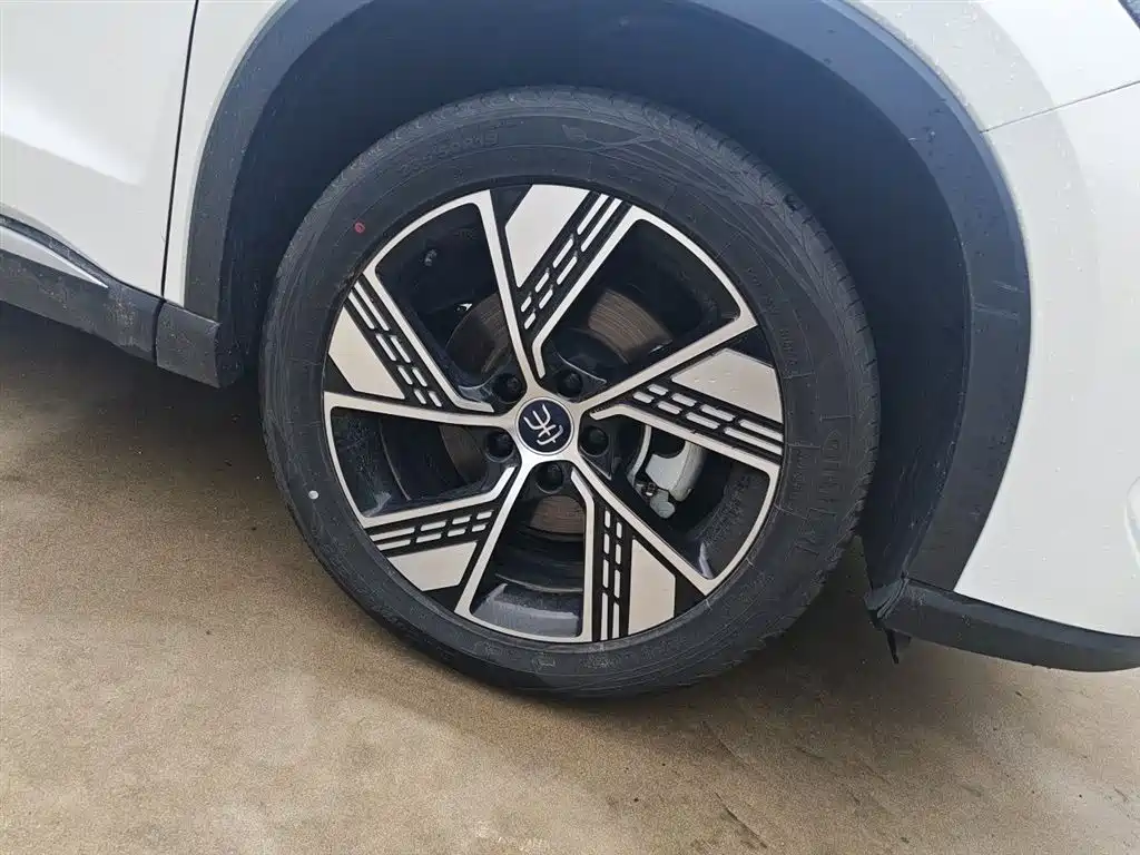 BYD Song Pro New Energy 2023 Champion Edition DM-i 110KM Excellence фото 26